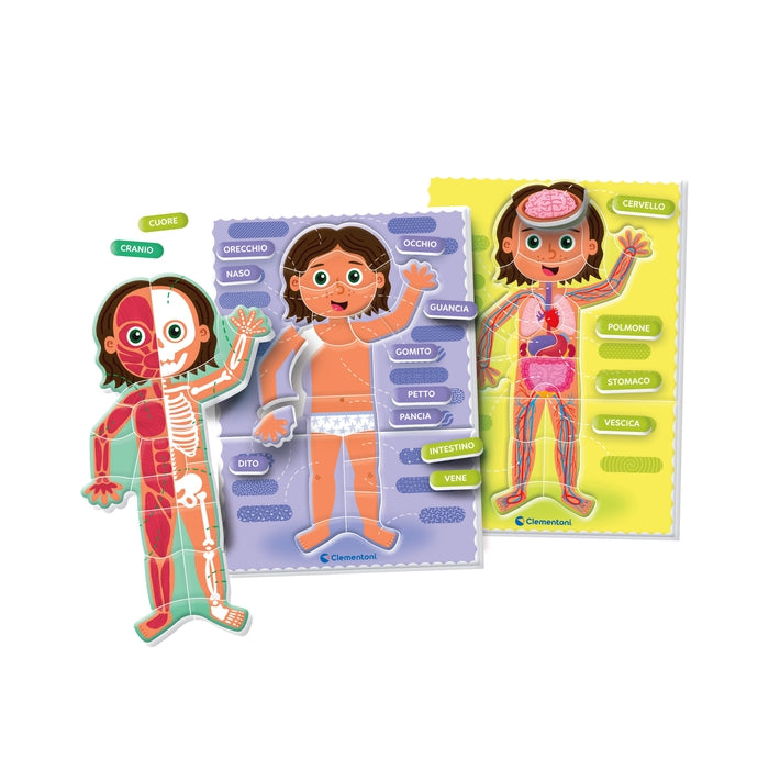 clementoni-montessori-le-corps-humain image 2