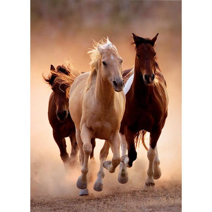 clementoni-puzzle-adultes-running-horses-1000-pi-ces image 2