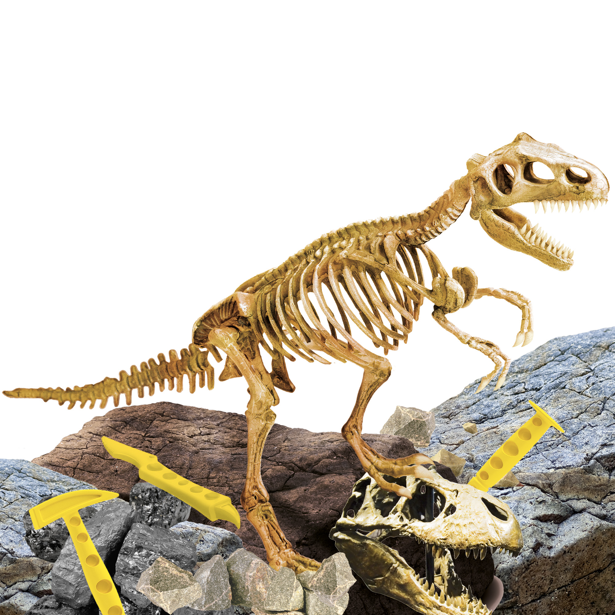 lisciani-i-m-a-genius-super-kit-t-rex-kit-pal-ontologie-fouiller image 2