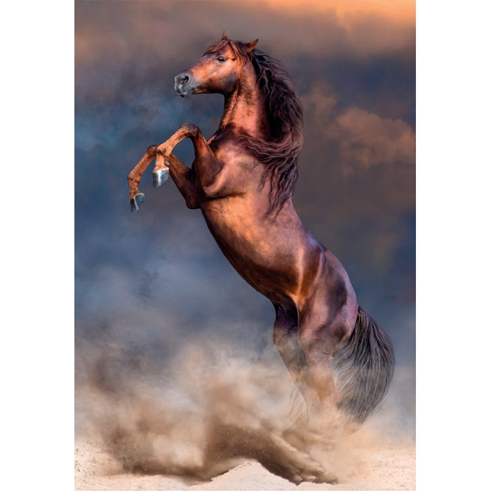 clementoni-wild-red-stallion-puzzle-500-pi-ces image 2
