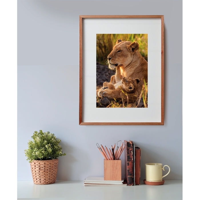 clementoni-feline-love-puzzle-500-pi-ces image 3
