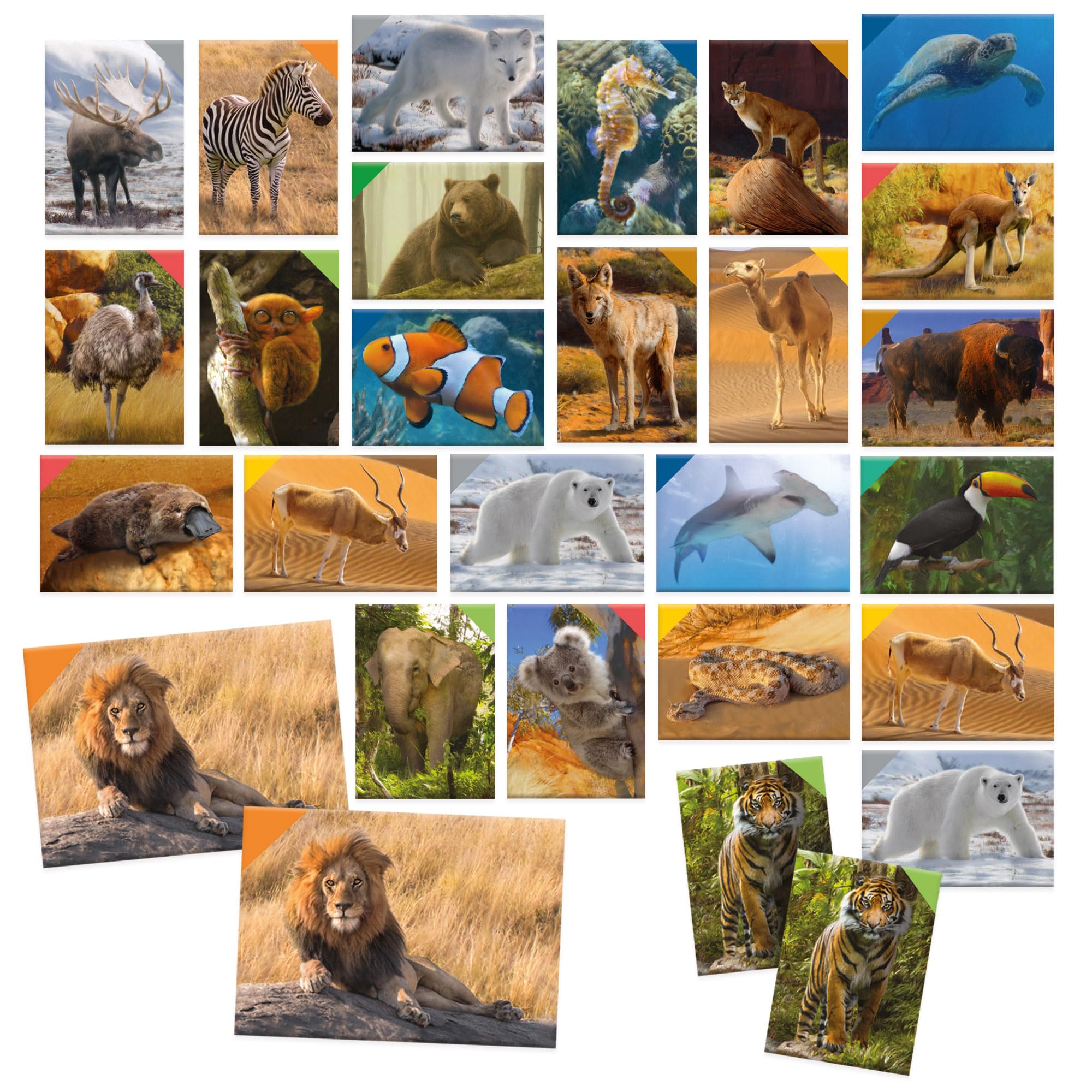 headu-memorix-108-animal-cards-jeu-de-m-moire-animaux image 3