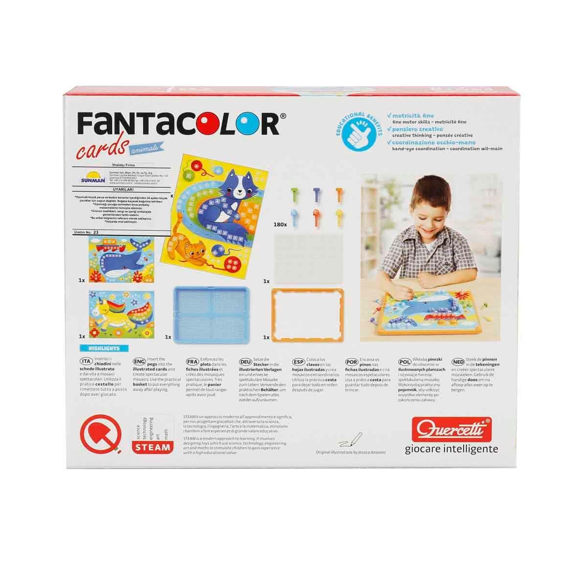 quercetti-fantacolor-cards-animaux-jeu-de-mosa-ques-0862 image 3