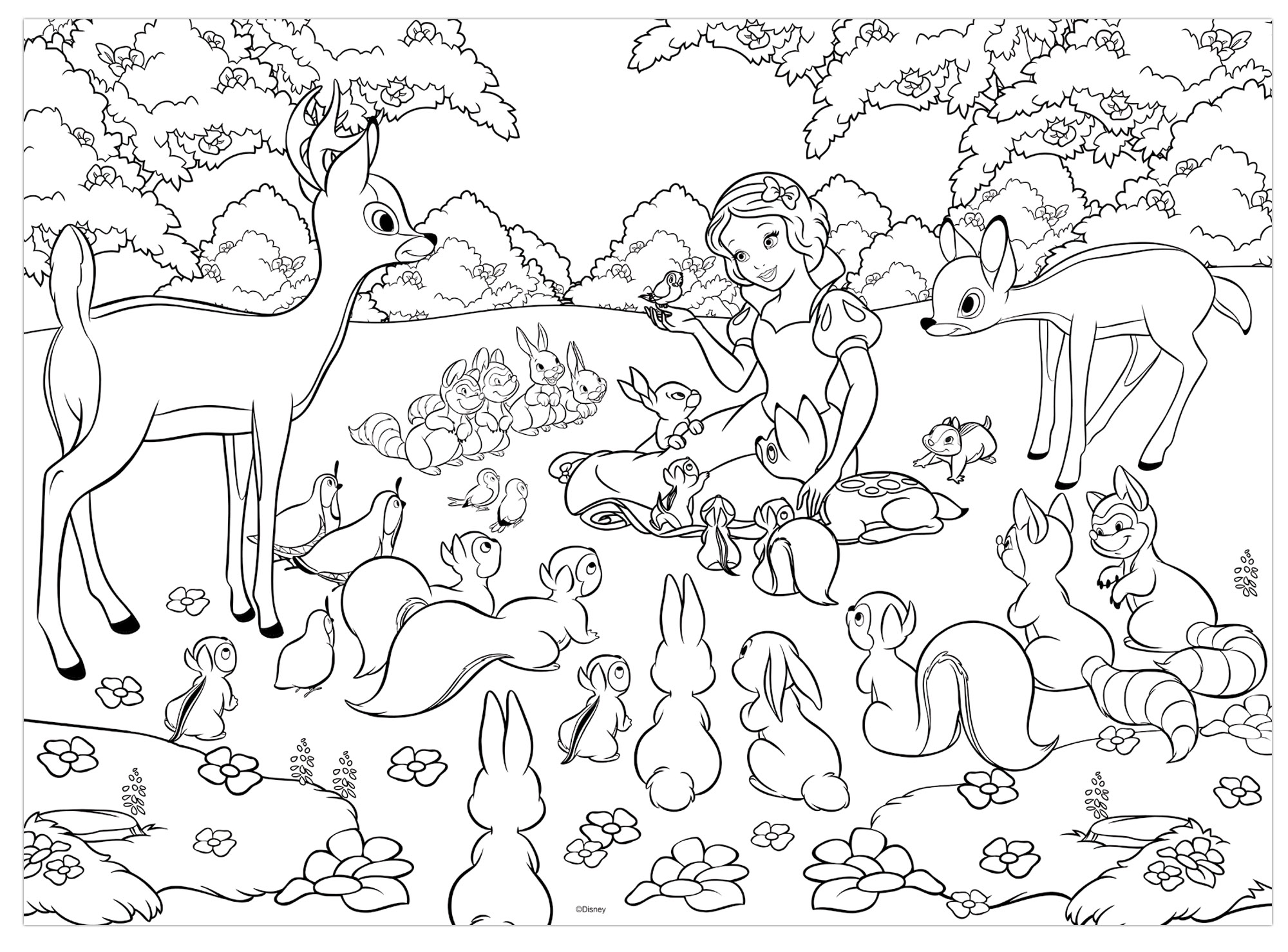 lisciani-disney-puzzle-double-face-maxi-floor-60-blanche-neige image 3