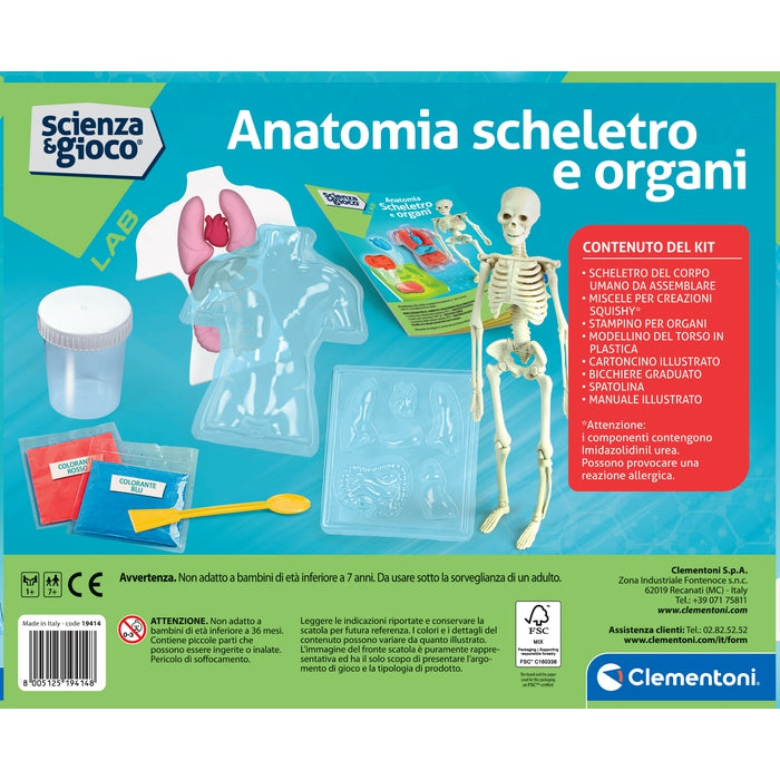 clementoni-science-play-lab-anatomie-squelette-et-organes-squishy image 6