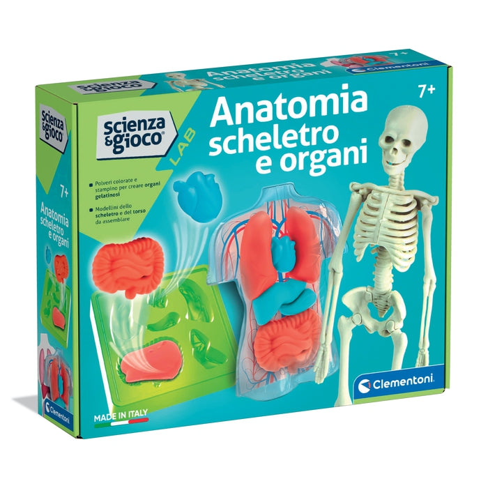 clementoni-science-play-lab-anatomie-squelette-et-organes-squishy image 1