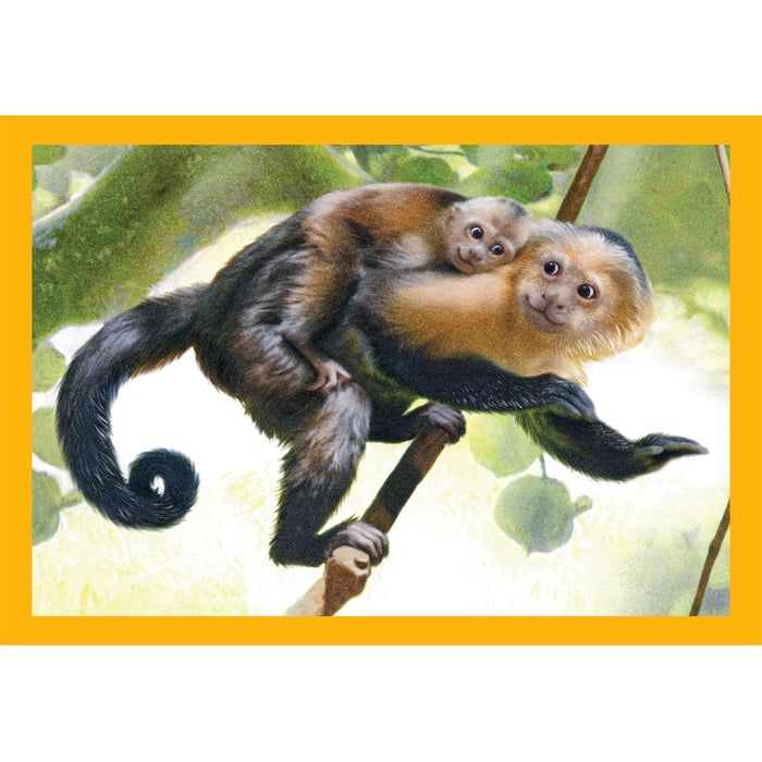 clementoni-baby-cuddles-4-puzzles-enfants-12-16-20-24-pi-ces image 3