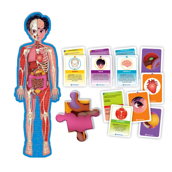 clementoni-sapientino-pi-jeu-ducatif-le-corps-humain-puzzle-cartes image 4