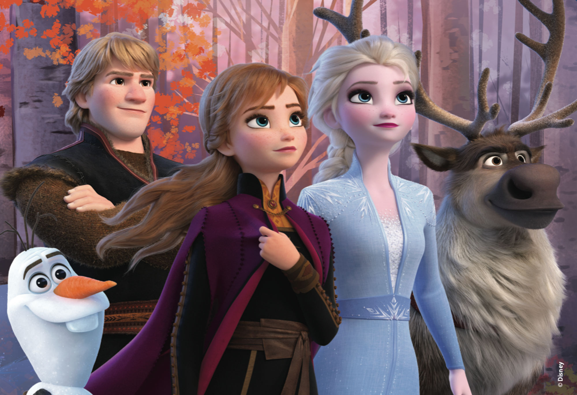 lisciani-disney-maxi-puzzle-double-face-4x48-frozen-2-la-reine-des-neiges-2 image 5