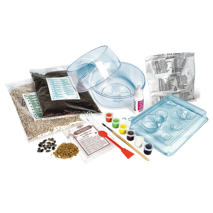 clementoni-science-play-lab-harry-potter-terrarium-kit-cosyst-me-miniature image 3