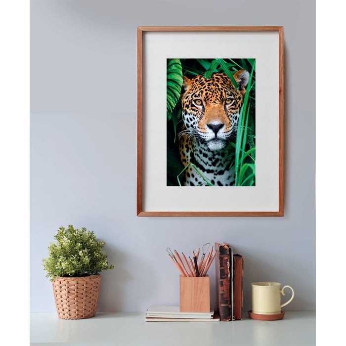 clementoni-jaguar-in-the-jungle-puzzle-500-pi-ces-2 image 3