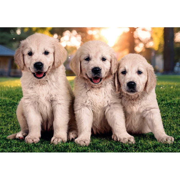 clementoni-brothers-in-fur-2-puzzles-enfants-60-pi-ces-27-x-19-cm image 3