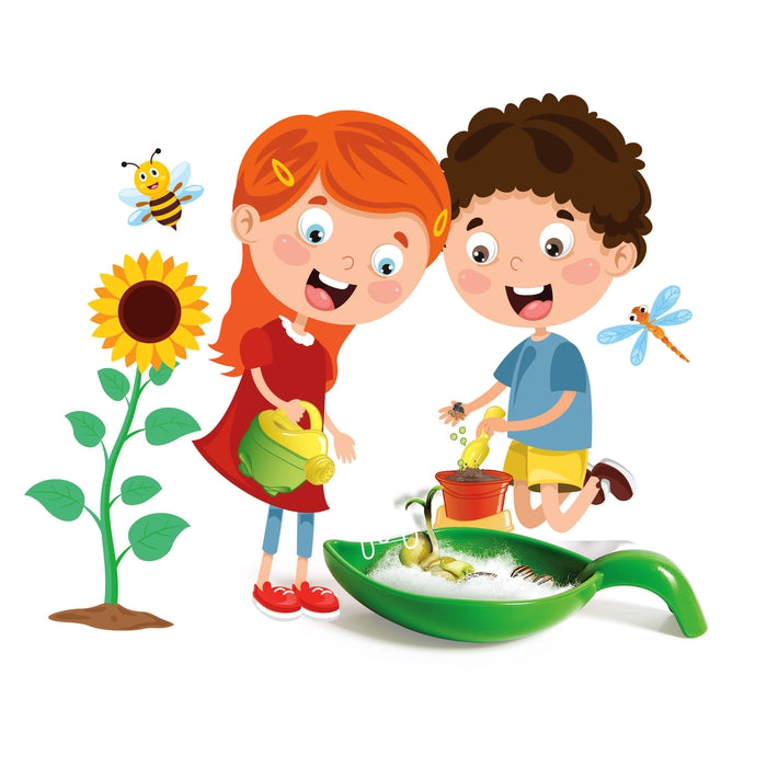 clementoni-science-play-lab-apprendisti-botanici-kit-botanique-enfant image 4