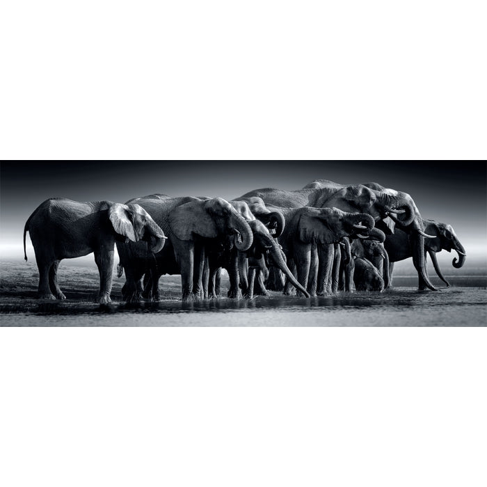 clementoni-collection-idea-herd-of-giants-puzzle-1000-pi-ces image 2