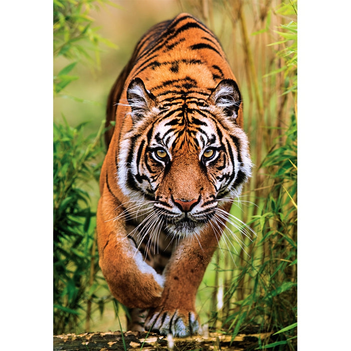 clementoni-the-hunter-s-path-puzzle-1000-pi-ces image 2