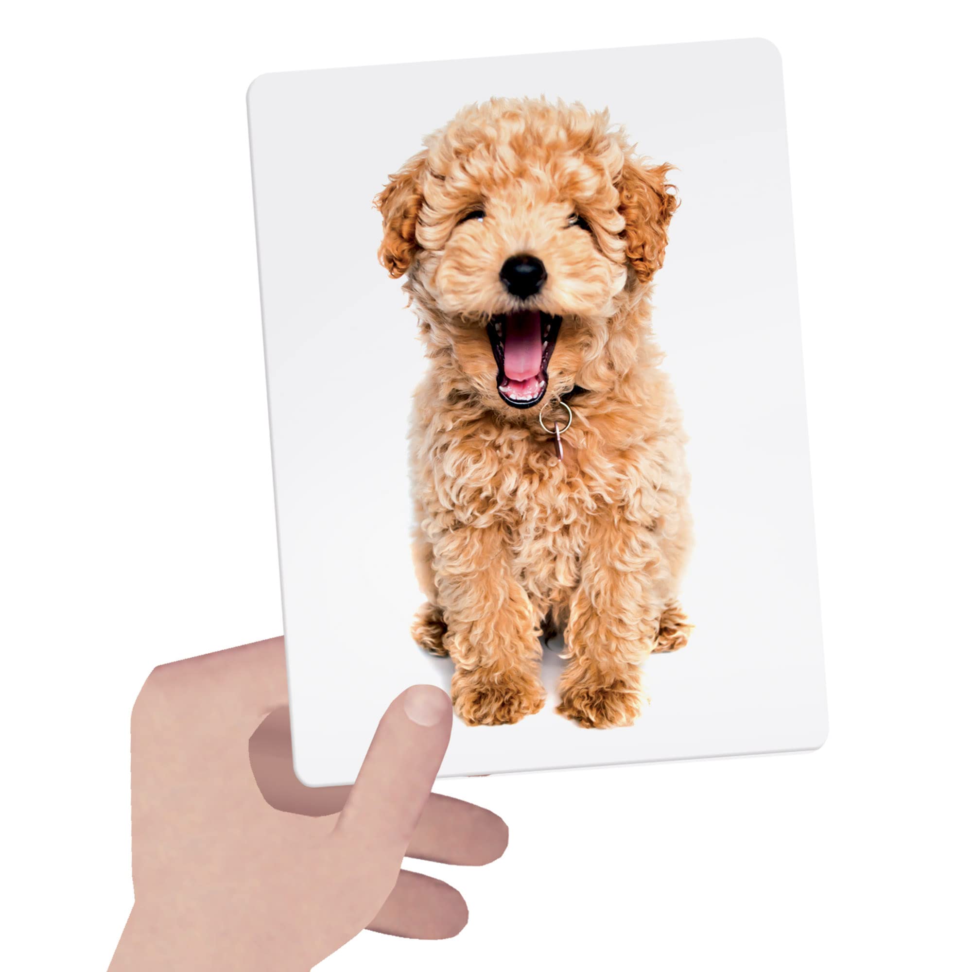 headu-flashcards-tactile-montessori-jeu-ducatif-sensoriel-1-4-ans-4-cartes-tacti image 4