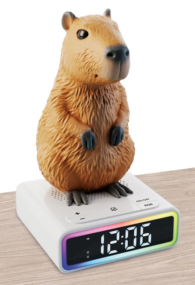 lisciani-rainy-days-capibara-r-veil-digital-enfant-change-de-couleur image 1
