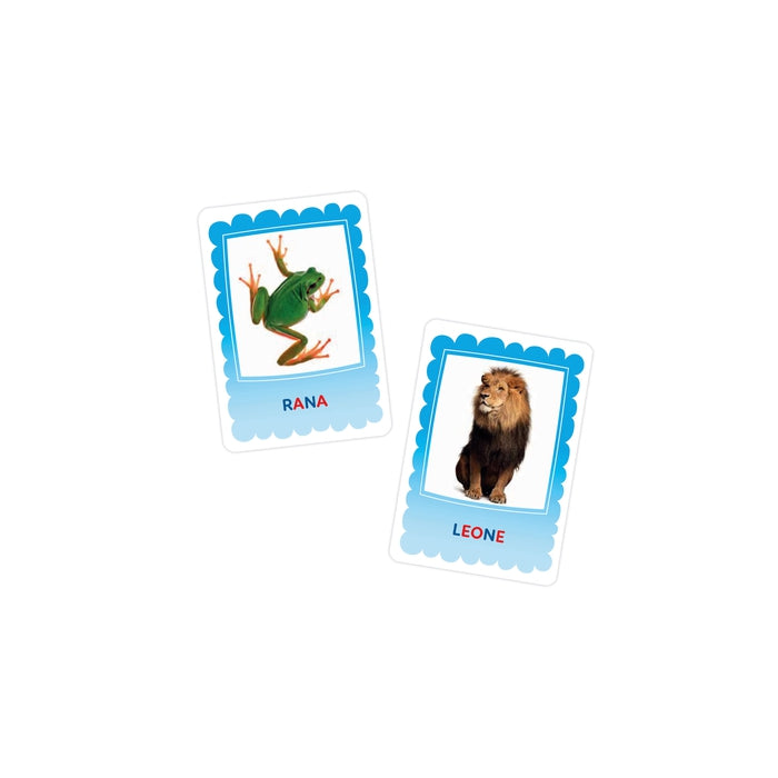 clementoni-sapientino-montessori-flashcards-alfabeto-tattile-48-cartes-ducatives image 6