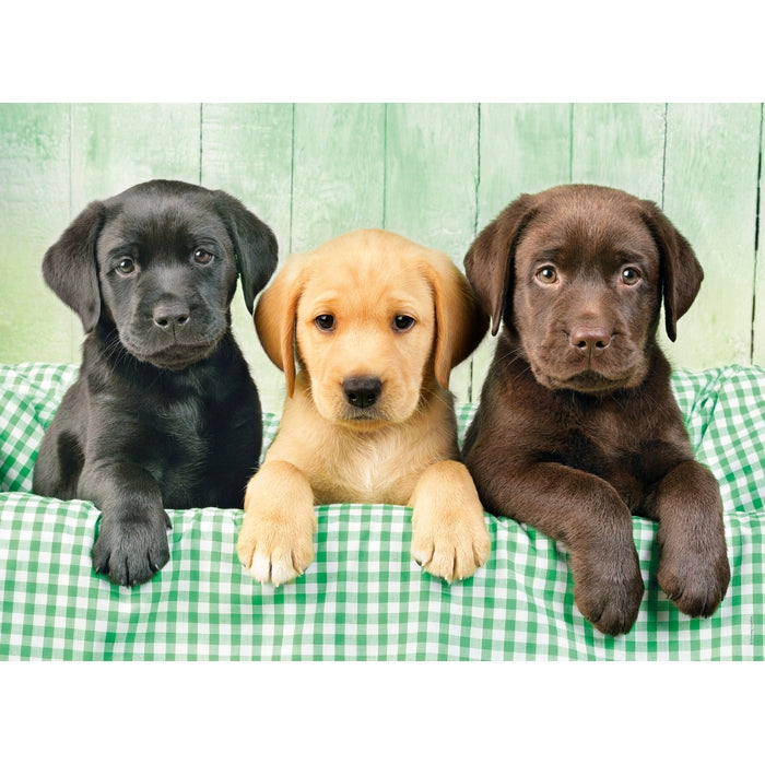clementoni-three-labs-puzzle-1000-pi-ces-70-x-50-cm image 2