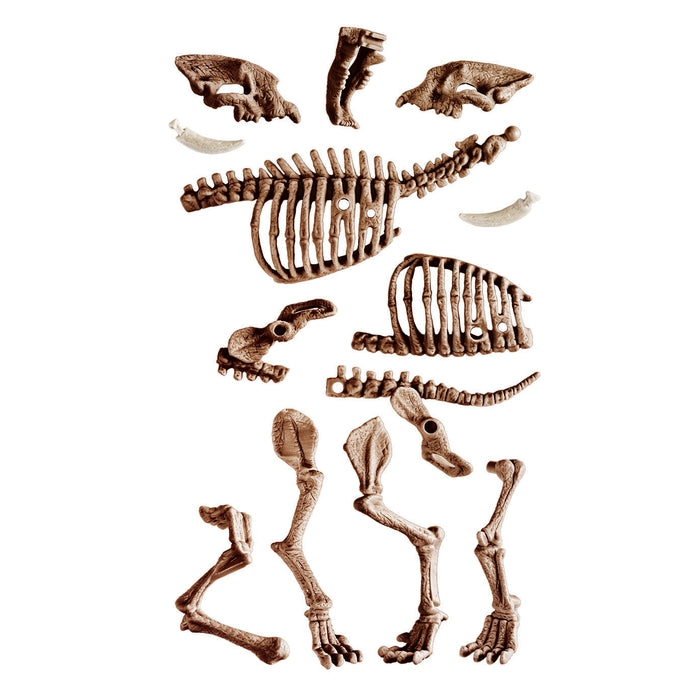 clementoni-science-play-lab-archeogiocando-t-rex-et-smilodon-2-en-1 image 3