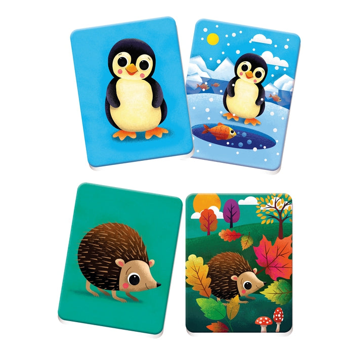 clementoni-sapientino-baby-montessori-48-cartes-les-maisons-des-petits image 3