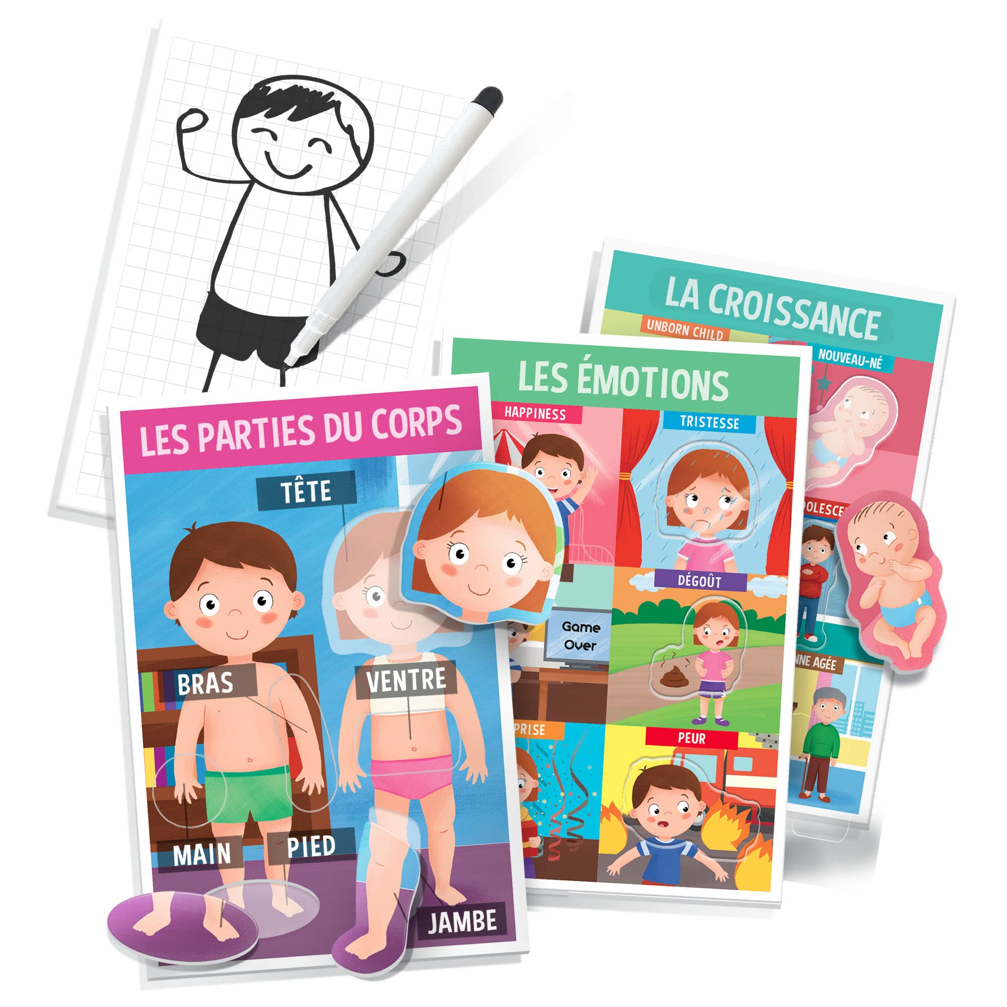 headu-nous-sommes-faits-ainsi-montessori-2-6-ans-corps-humain image 3
