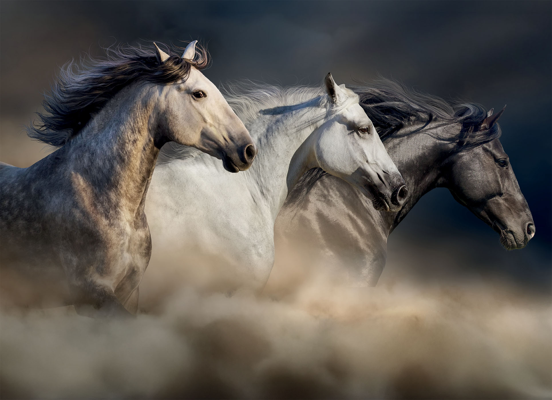 lisciani-puzzle-poster-horses-1000-pi-ces image 2