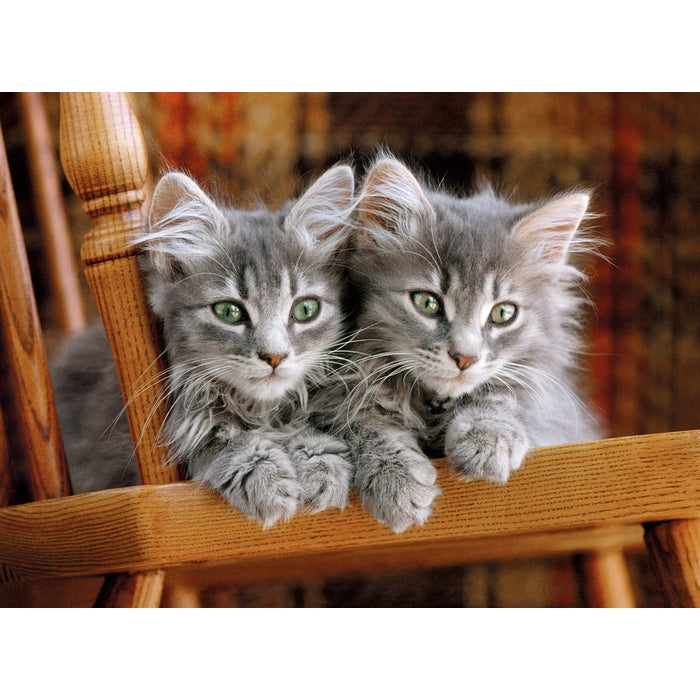 clementoni-kittens-puzzle-500-pi-ces-49-x-36-cm image 2