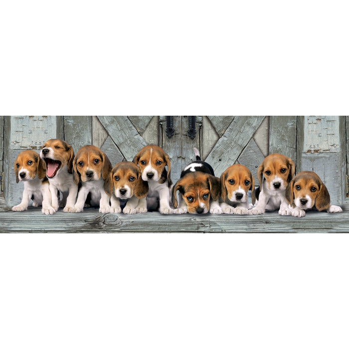 clementoni-puzzle-adulte-beagles-1000-pi-ces-98-x-33-cm image 2