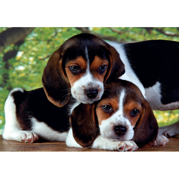 clementoni-close-together-puzzle-adulte-500-pi-ces image 2