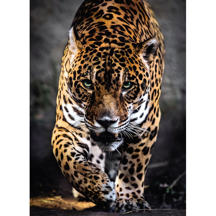 clementoni-walk-of-the-jaguar-puzzle-adulte-1000-pi-ces image 2