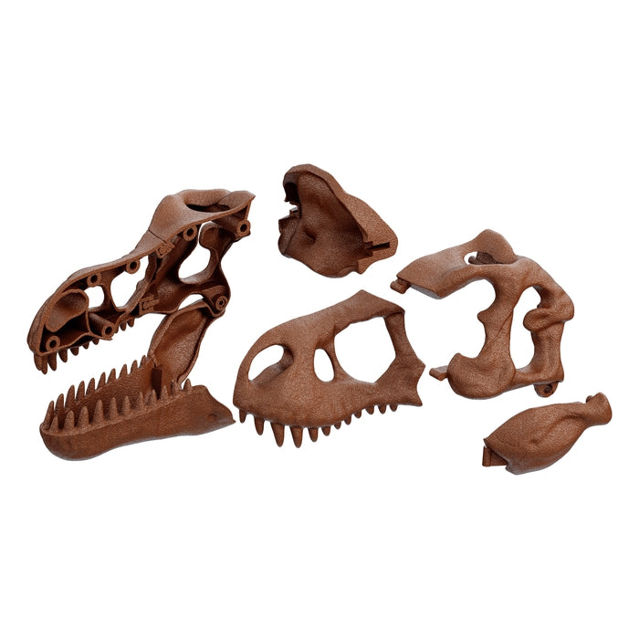 clementoni-science-play-lab-dig-kit-cr-ne-t-rex-2-en-1 image 5