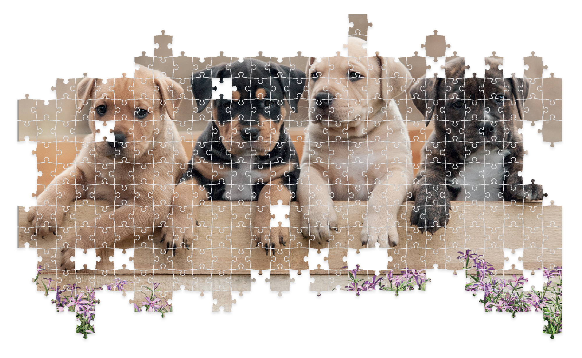 lisciani-puzzle-poster-dogs-500-pi-ces image 4