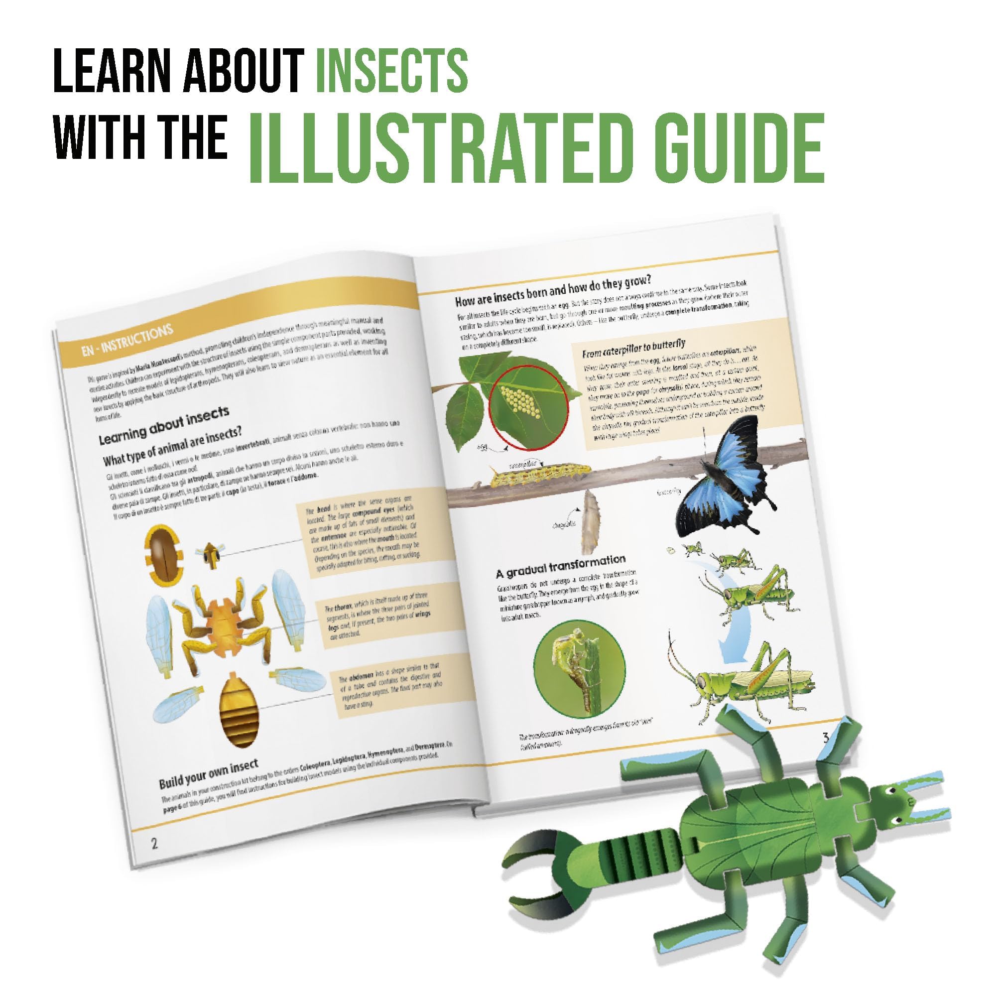 headu-insect-builder-jeu-ducatif-stem-insectes-5-8-ans image 4