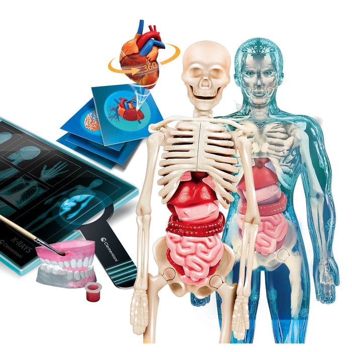 clementoni-science-play-lab-anatomia-super-corps-humain-app-ra image 2