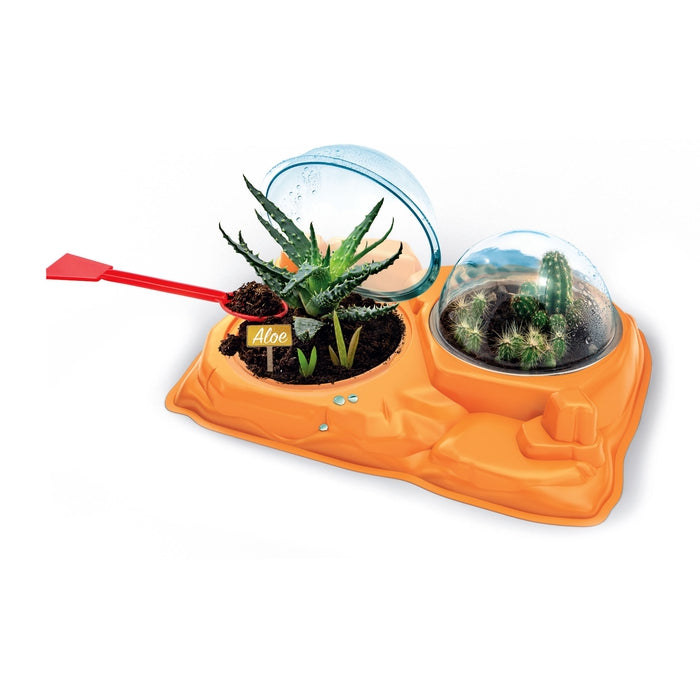 clementoni-science-jeu-lab-la-botanique-des-plantes-grasses-avec-serre image 2