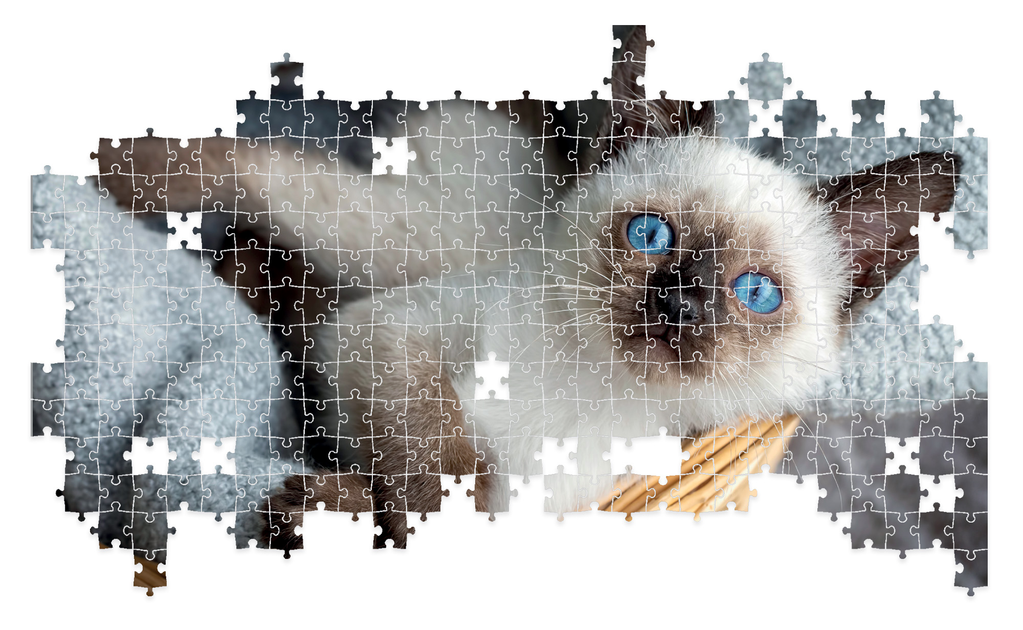lisciani-puzzle-poster-cats-1000-puzzle-1000-pi-ces-chats image 4