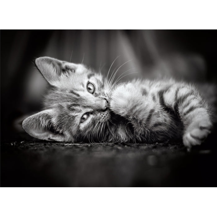 clementoni-kitty-puzzle-1000-pi-ces-70-x-50-cm image 2
