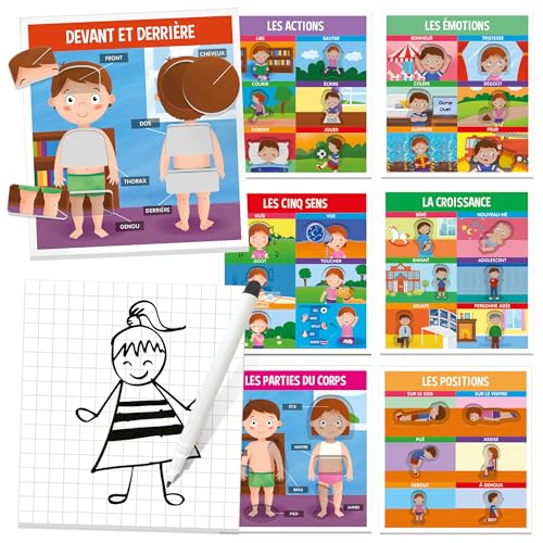 headu-nous-sommes-faits-ainsi-montessori-2-6-ans-corps-humain image 5