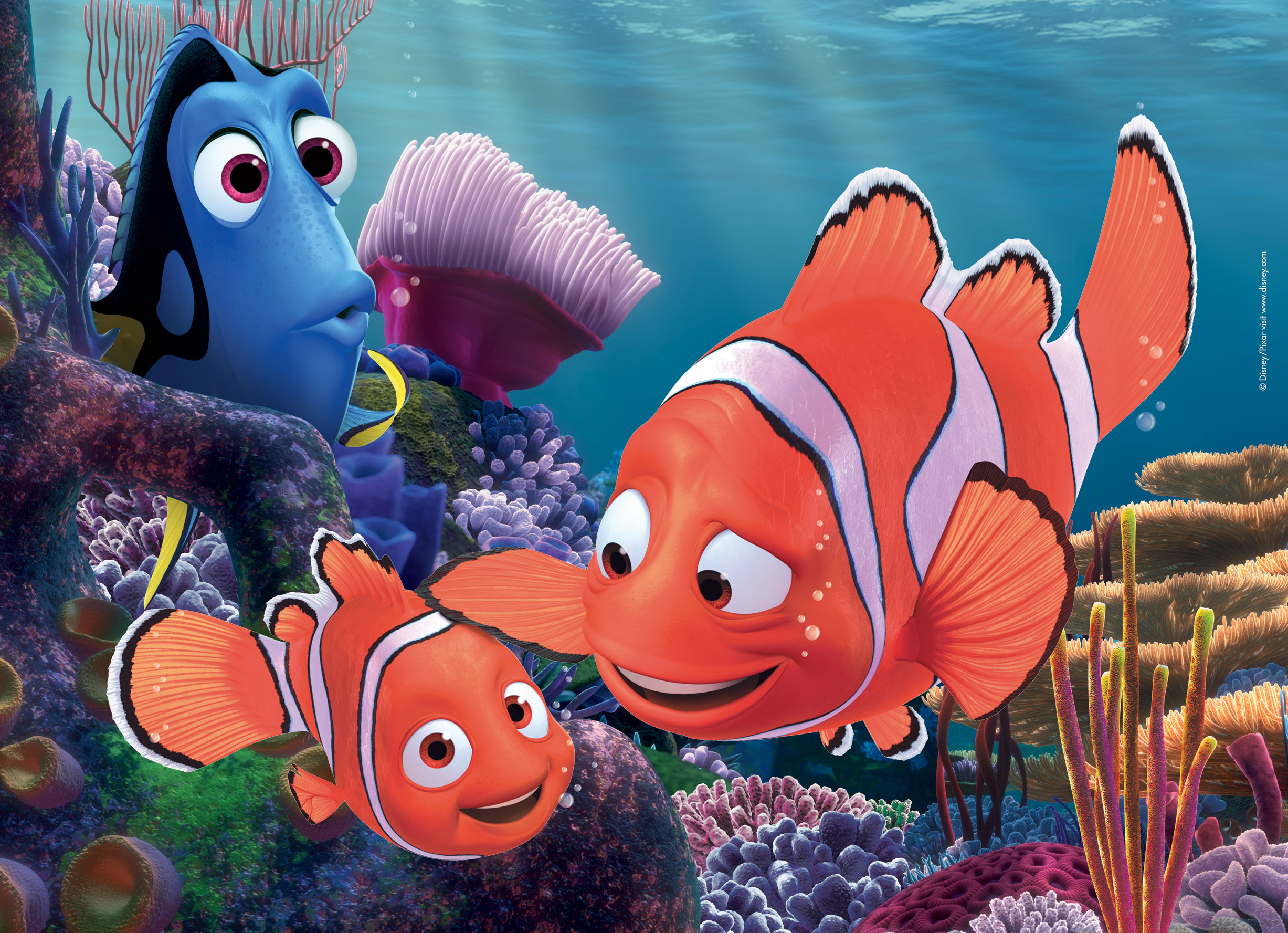 lisciani-disney-puzzle-df-maxi-floor-24-nemo image 2