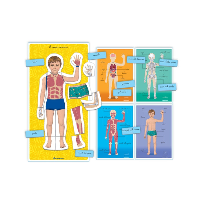 clementoni-montessori-le-corps-humain-puzzle-anatomie-4-6-ans image 3