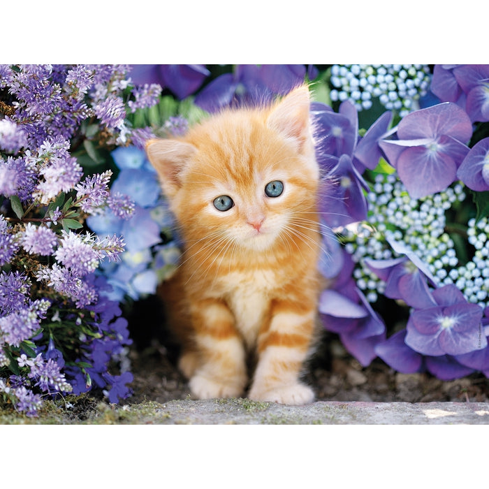 clementoni-ginger-cat-puzzle-500-pi-ces-puzzle-adulte-animaux image 2