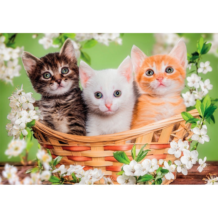clementoni-brothers-in-fur-2-puzzles-enfants-60-pi-ces-27-x-19-cm image 2