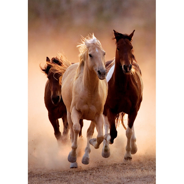 clementoni-running-horses-puzzle-1000-pi-ces image 2