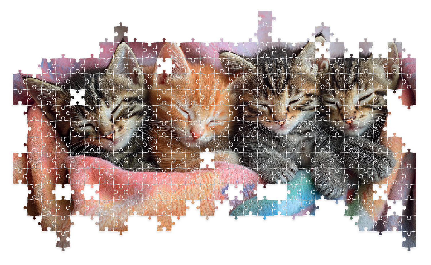 lisciani-puzzle-poster-cats-500-puzzle-500-pi-ces-chats image 4