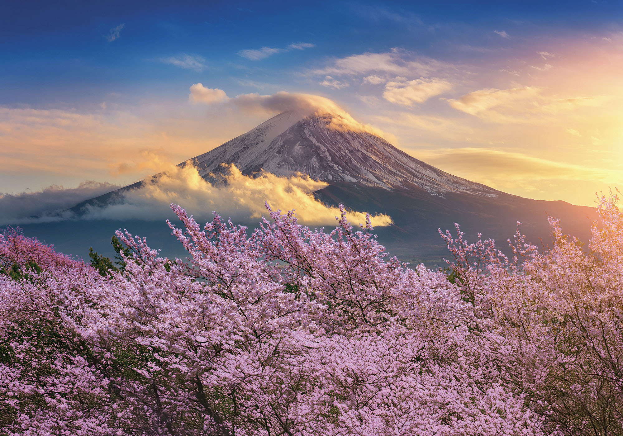 lisciani-puzzle-poster-japan-500-pi-ces image 3