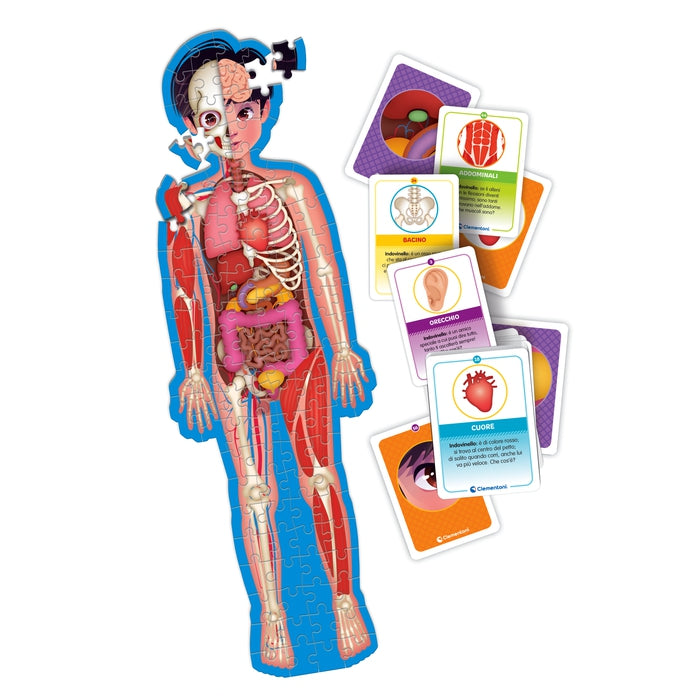 clementoni-sapientino-pi-jeu-ducatif-le-corps-humain-puzzle-cartes image 2