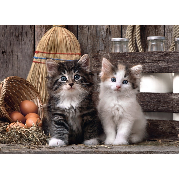 clementoni-lovely-kittens-puzzle-1000-pi-ces image 2