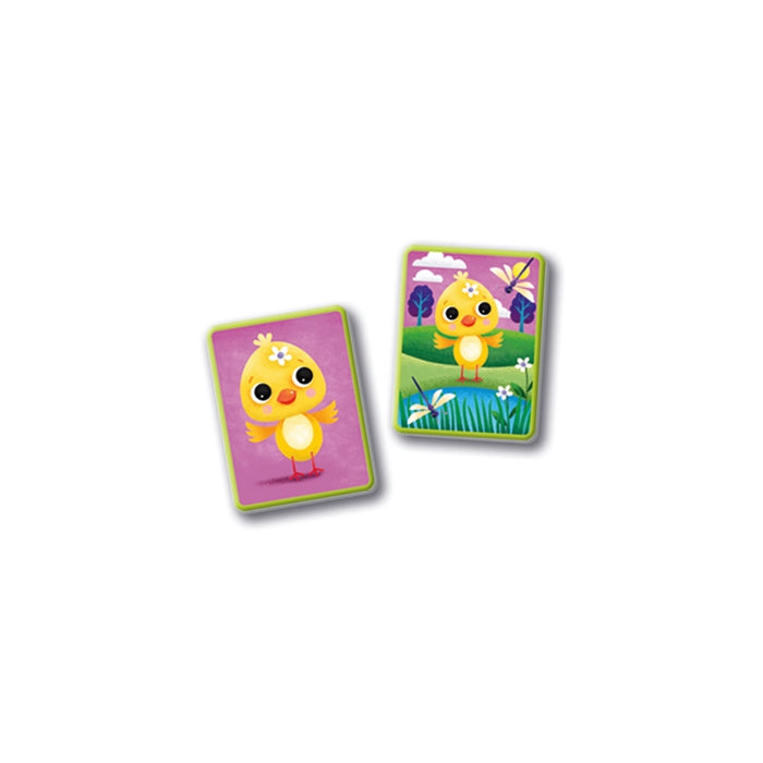 clementoni-sapientino-montessori-flashcards-les-maisons-des-petits image 6