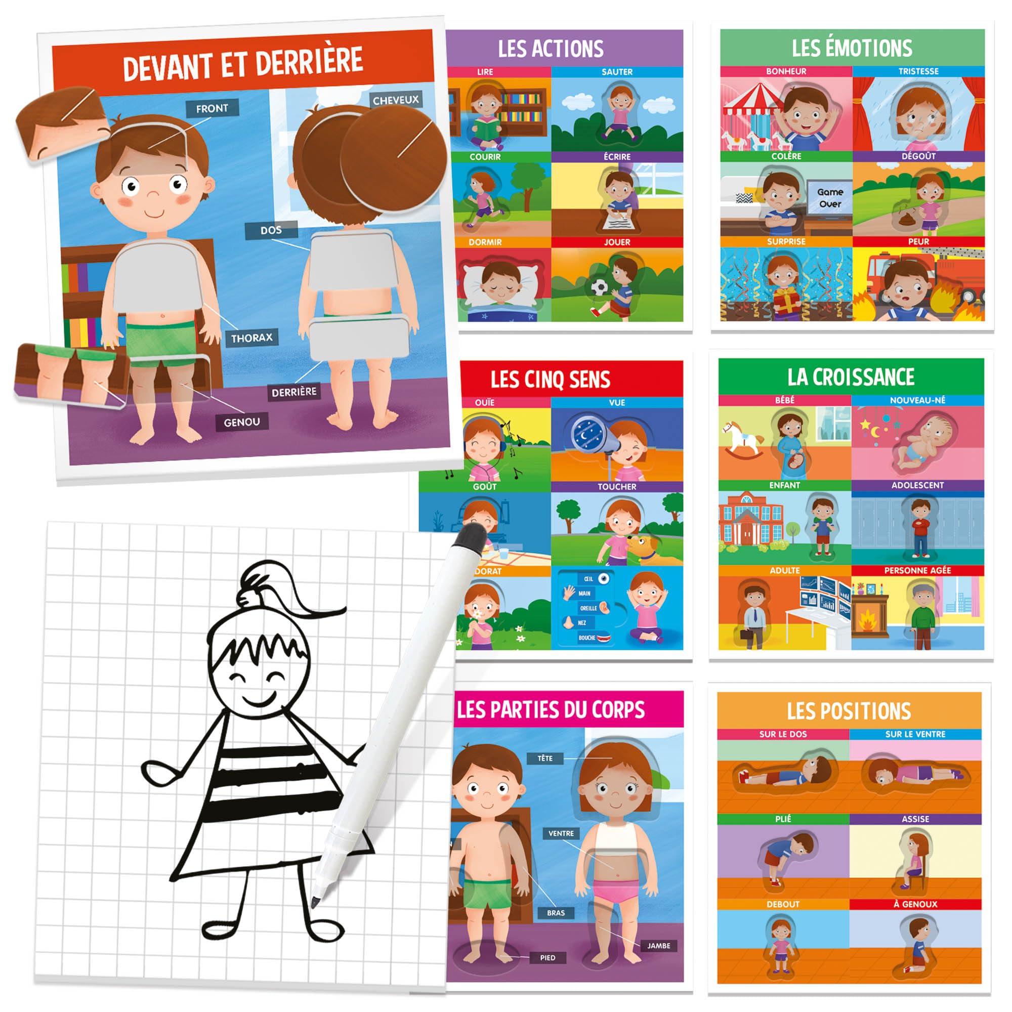 headu-nous-sommes-faits-ainsi-montessori-2-6-ans-corps-humain image 2